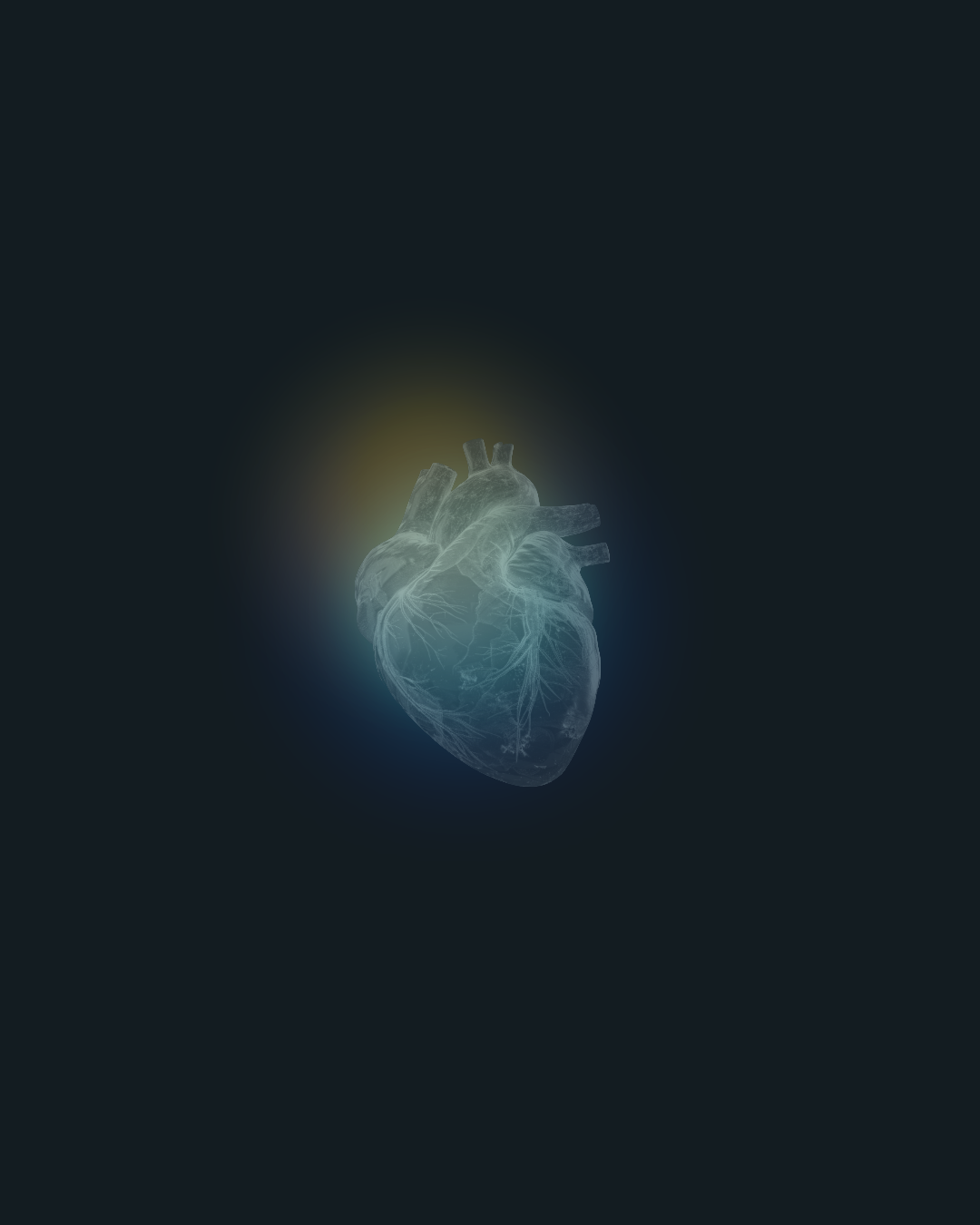 Anatomical heart visualization