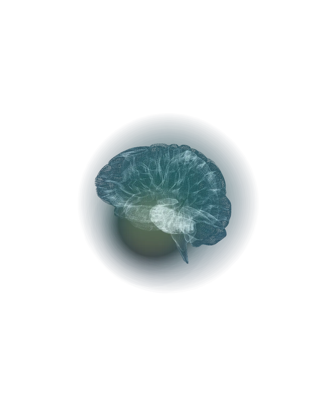 Brain MRI visualization